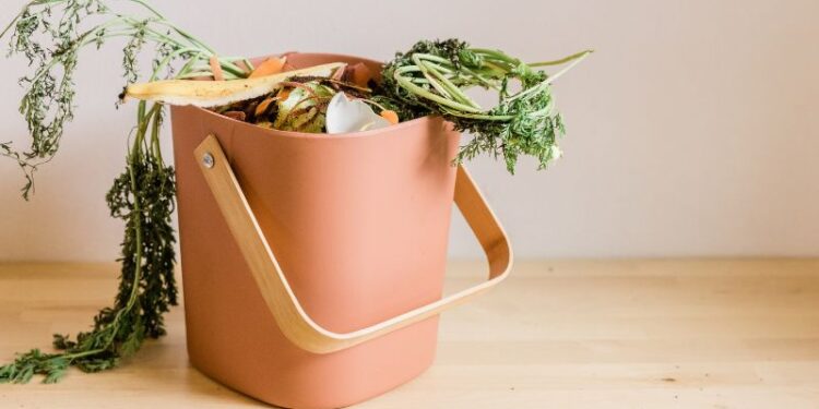 Cibo sprecato: l’impatto invisibile sul Pianeta