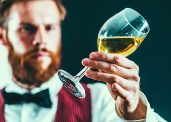 Nel 2025 partirà l’Italia del Vino Wine Business School