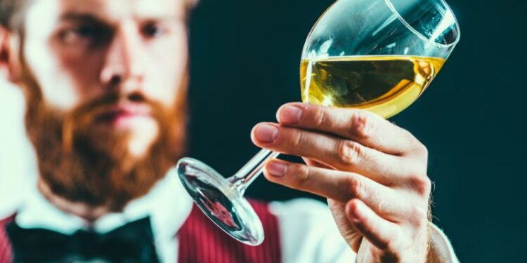 Nel 2025 partirà l’Italia del Vino Wine Business School