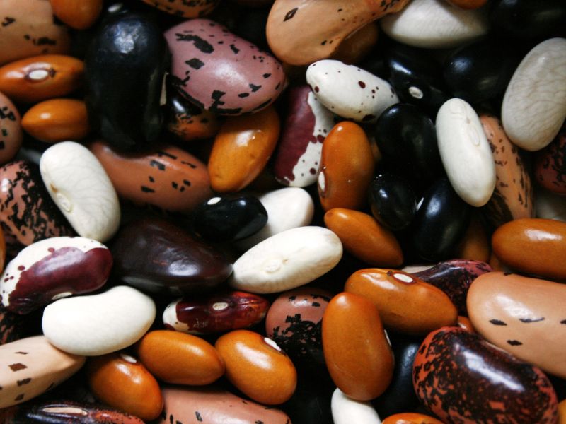 Proteine vegetali: toccasana per il cuore