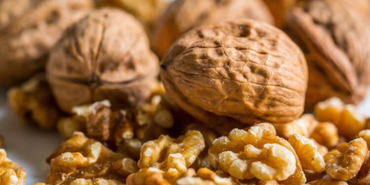 Proteine vegetali: toccasana per il cuore