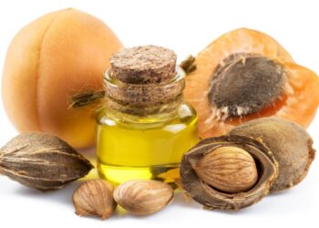 Conosci le armelline? Sono semi tossici usati però in cucina