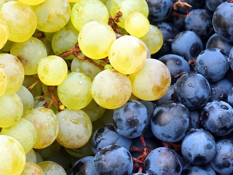 Uva e aglio utili contro le malattie cardiovascolari