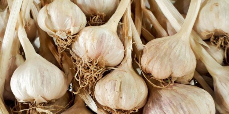 Uva e aglio utili contro le malattie cardiovascolari