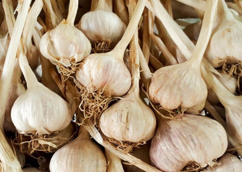 Uva e aglio utili contro le malattie cardiovascolari